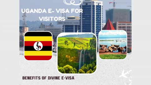 Global Access Made Easy: Divine Associates EVisa Expertise