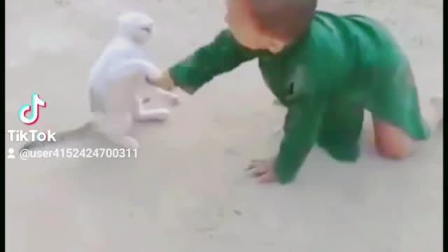 Baby play with cat