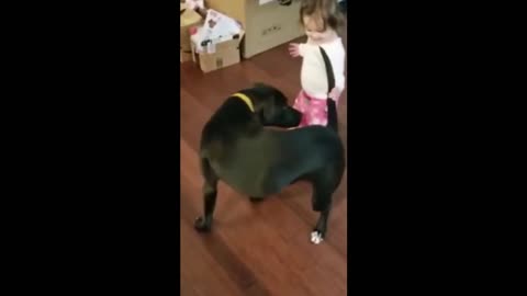 Cute Girl with Big Dog amazing