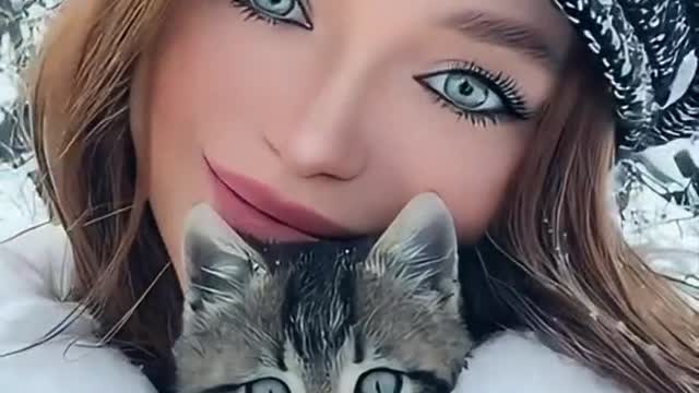 Cute cat