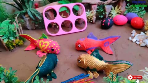 Stop Motion Fish - Mukbang - Koi Golden- Asmr Cooking Rainbow Koi fishing - TinyWorld143