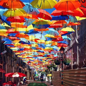 Did You Know? Annual Umbrella Installation, Agueda, Portugal || FACTS || TRIVIA