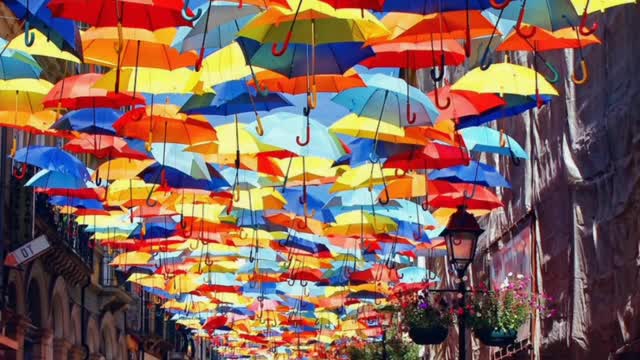 Did You Know? Annual Umbrella Installation, Agueda, Portugal || FACTS || TRIVIA