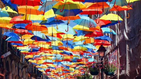 Did You Know? Annual Umbrella Installation, Agueda, Portugal || FACTS || TRIVIA