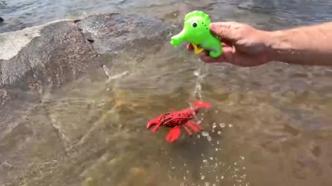 Sea Animal Toys This Summer at the Shore #seaanimal #seatoys #summertoys