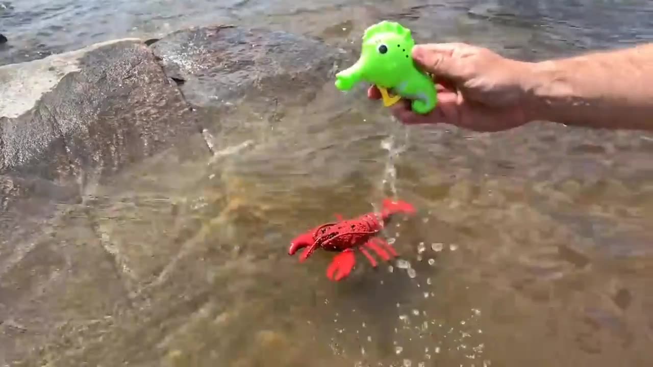 Sea Animal Toys This Summer at the Shore #seaanimal #seatoys #summertoys