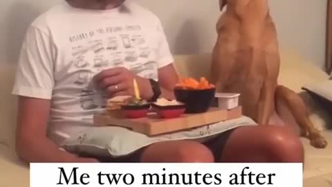 Hungry dog funny moment 😜