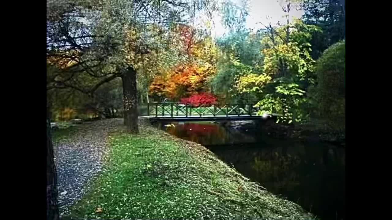 Relax Bro 😎 | chillhopbeats | low fi type music