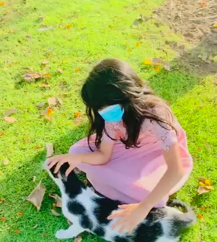 video for cute cat cat