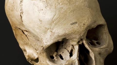 Interesting Things That You Probably Didn't Know #Shorts #Rumble #RumbleShorts