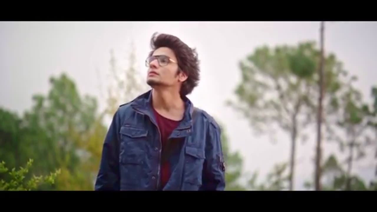 Tere bin _official music video to raghav chait