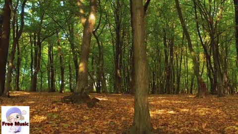 Relaxing Music | Sleeping, Meditation, Stress Relief | [6107] ⭐️