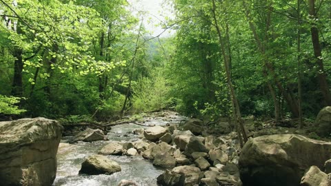 A Shallow River Streaming Through A Bed Of Rocks