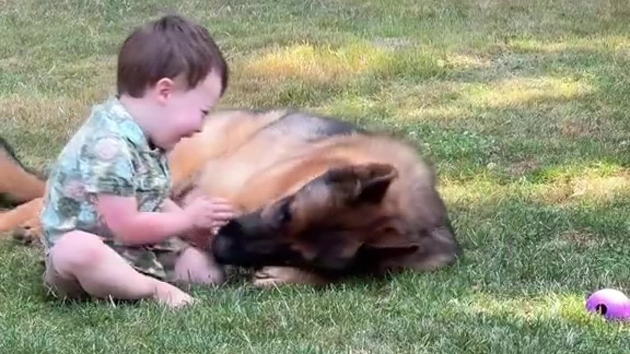 German Shepherds know. They just do. That’s the most protected infant in town