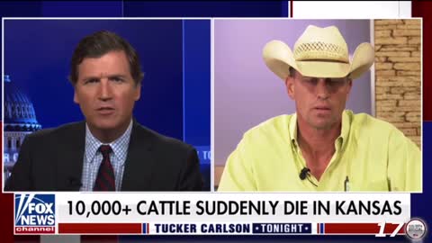 10,000+ cattle suddenly die in Kansas.