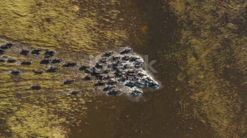 The beautiful scenic Okavango Delta