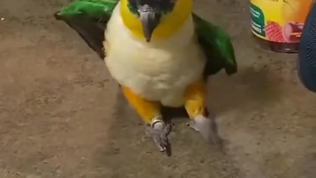 He’s got the moves🕺