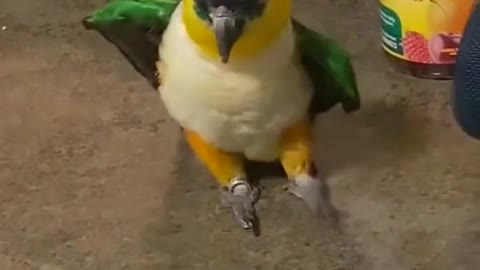 He’s got the moves🕺