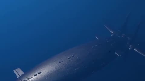 Mysterious Shark
