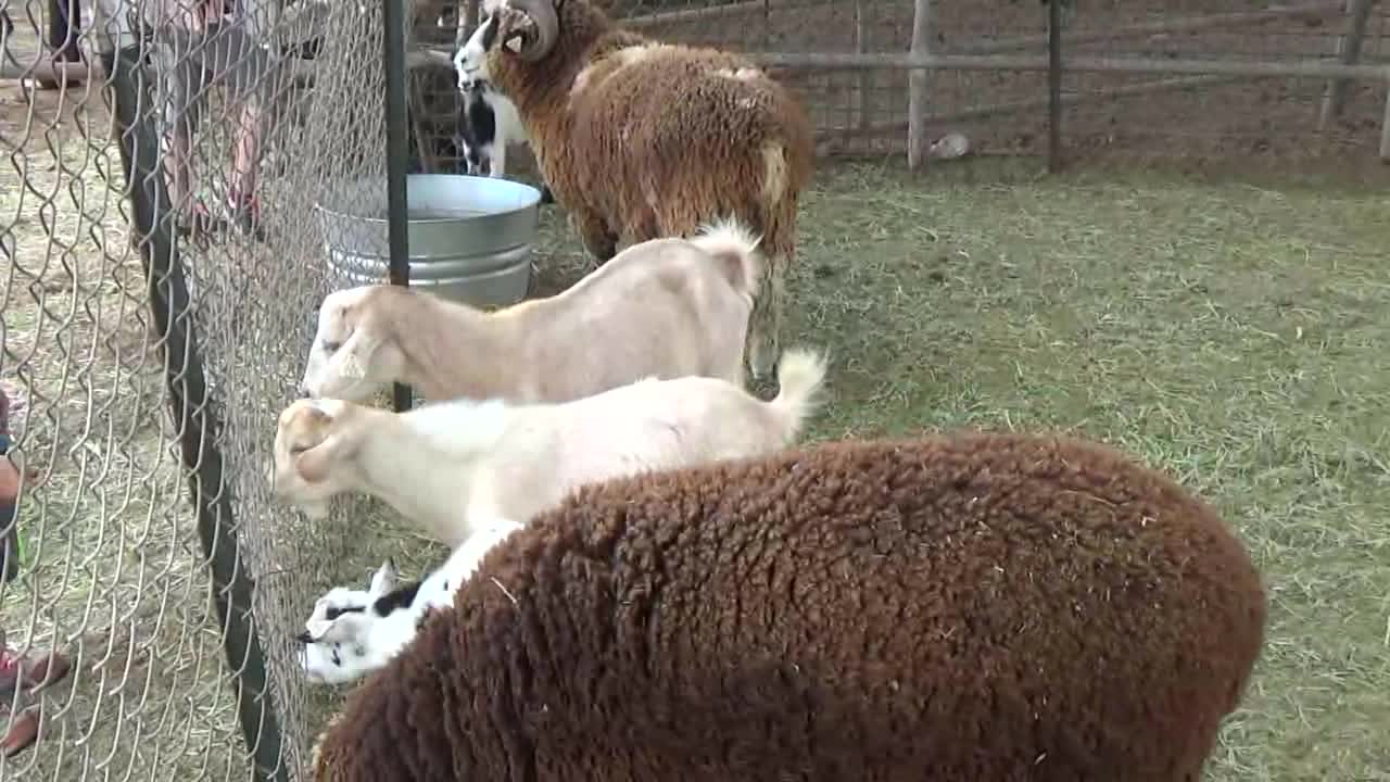 Wai'anae, HI — Naked Cow Dairy Farm and Creamery #3