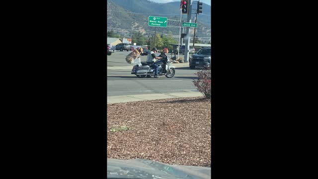 We saw this cute dog riding a Motorcycle while we were out today!