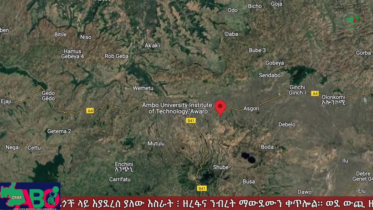 ጥቅምት 19፣ 2024 ONM-ABO እለታዊ የኦሮሞ ነፃነት ሰራዊትና የኦሮሚያ ውሎ!