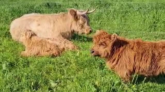 The best spot
