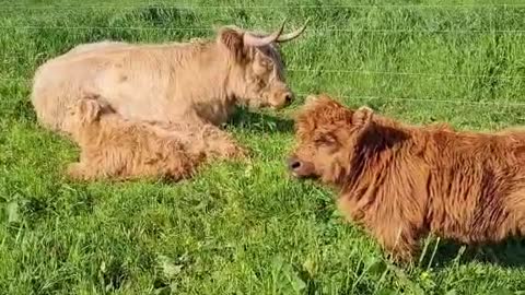 The best spot