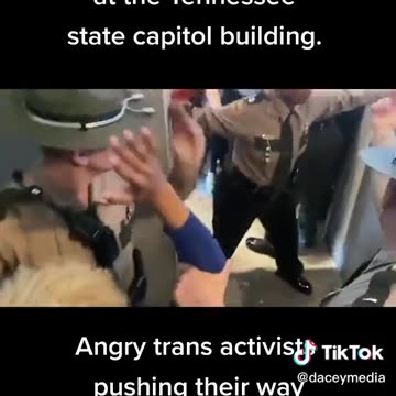 This is called "storming a capital building"