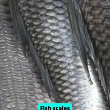 Top 10 Products You Didn’t Know Are Used in Cosmetics Part 1