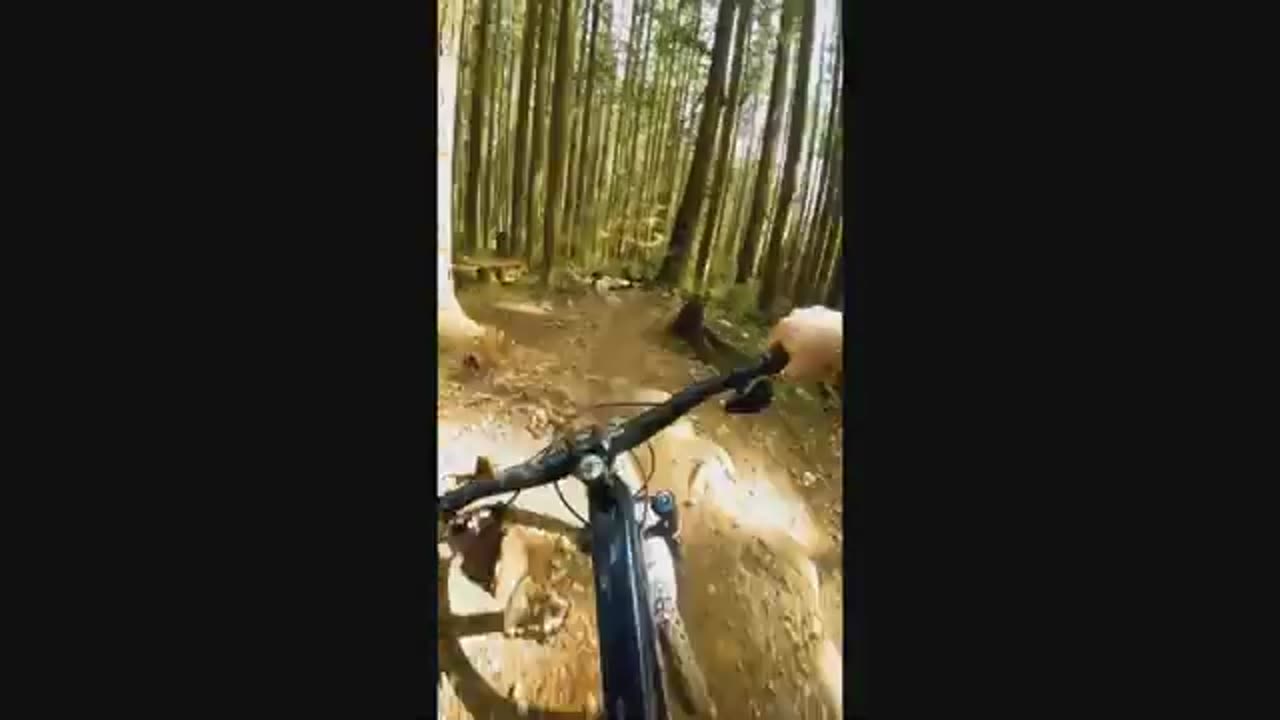 Mtb fails