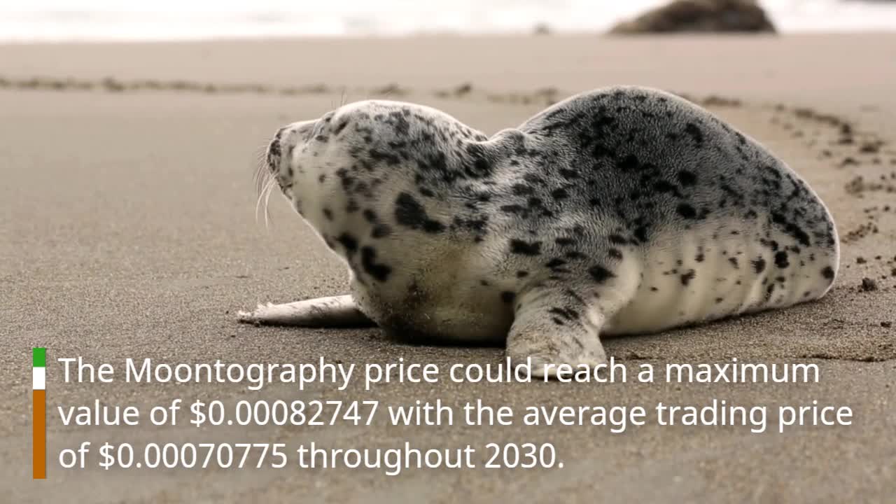 Moontography Price Prediction 2023, 2025, 2030 MTGY Cryptocurrency Price Prediction