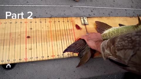 Nate gets a nice Northern WI musky