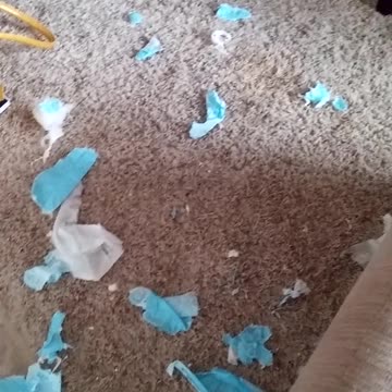 Mikka is in big trouble again