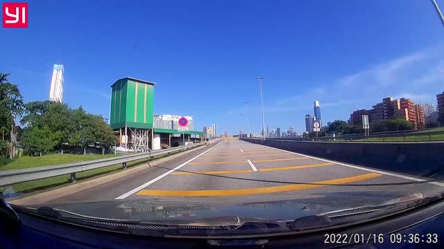 Bird Hits Windshield at High speed