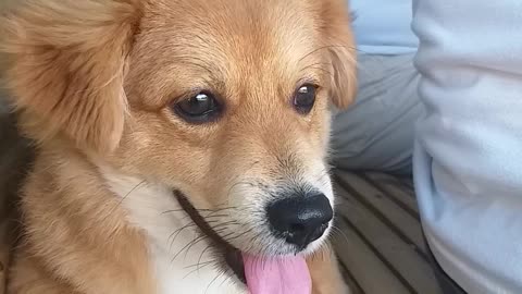 Waiting for his friends