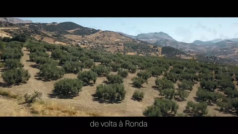 Andalucia Travel