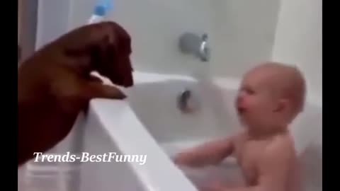Cute Baby Animal Bath Time Compilation Funny Videos