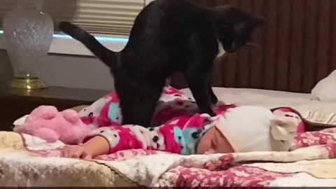 Heartwarming Bond: Cat Gives Newborn Baby a Gentle Massage