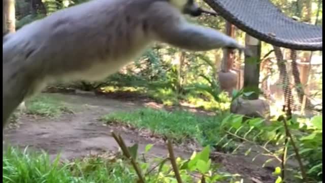 These little guys have so much fun every day