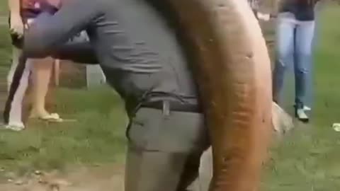 AMAZIG VIDEO