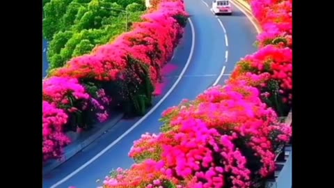 Natural life # natural trees # natural flowers # natural River