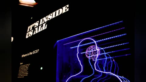 Trip with A.I ,