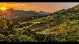 Beautiful Paddy Fields In Indonesia