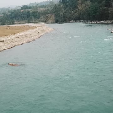 Denger bridge/bike ride/