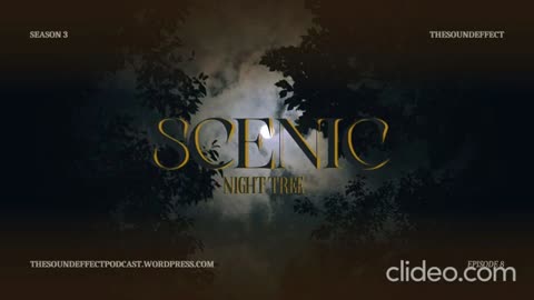 Scenic Sounds | Season 3: Episode: 8 | Night Tree