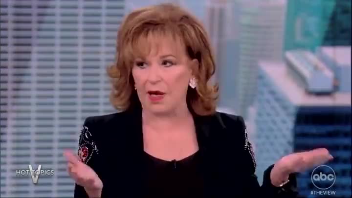 Sunny Hosten of the View is a dirty racist