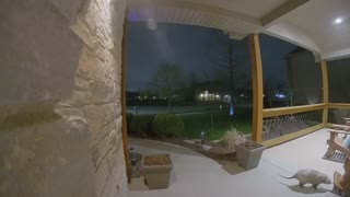 Another Visit From The Opossum