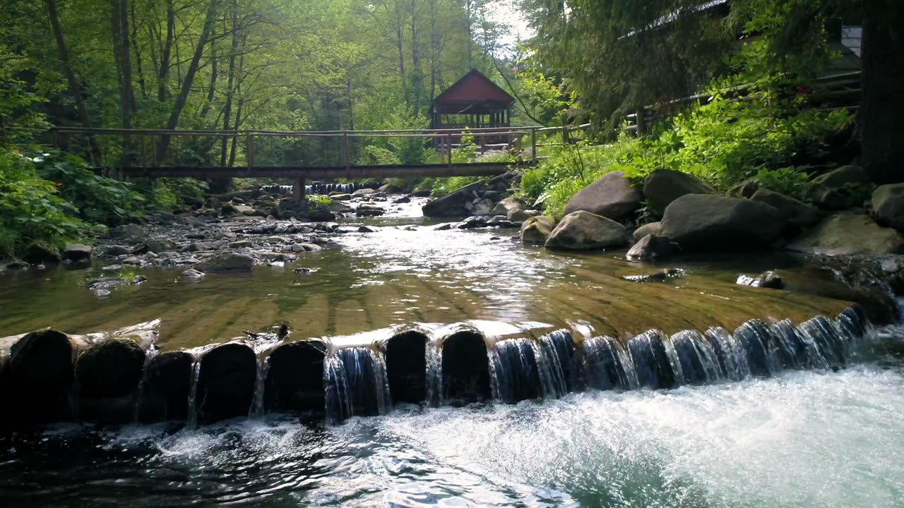 Relaxing Moment | North Carolina | French Broad River Park