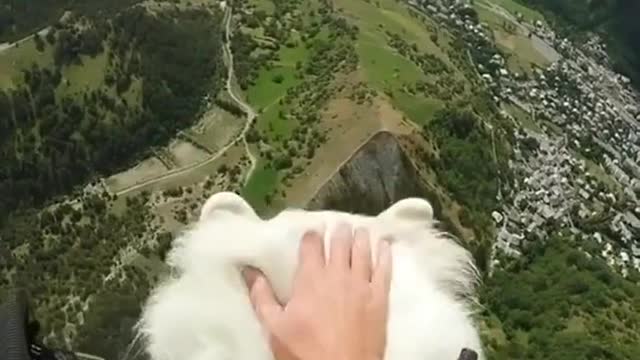Cloud boi goes for a ride ✈️☁️